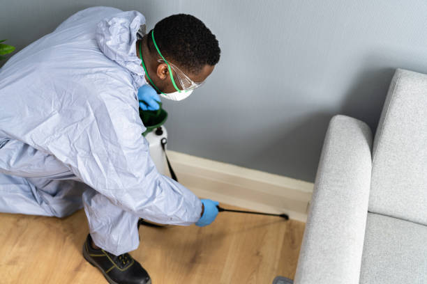 Best Residential Pest Control  in West Hazleton, PA